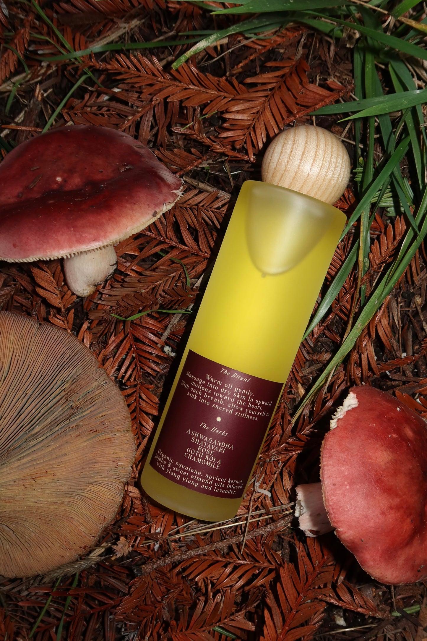 Sacred Stillness Body Oil