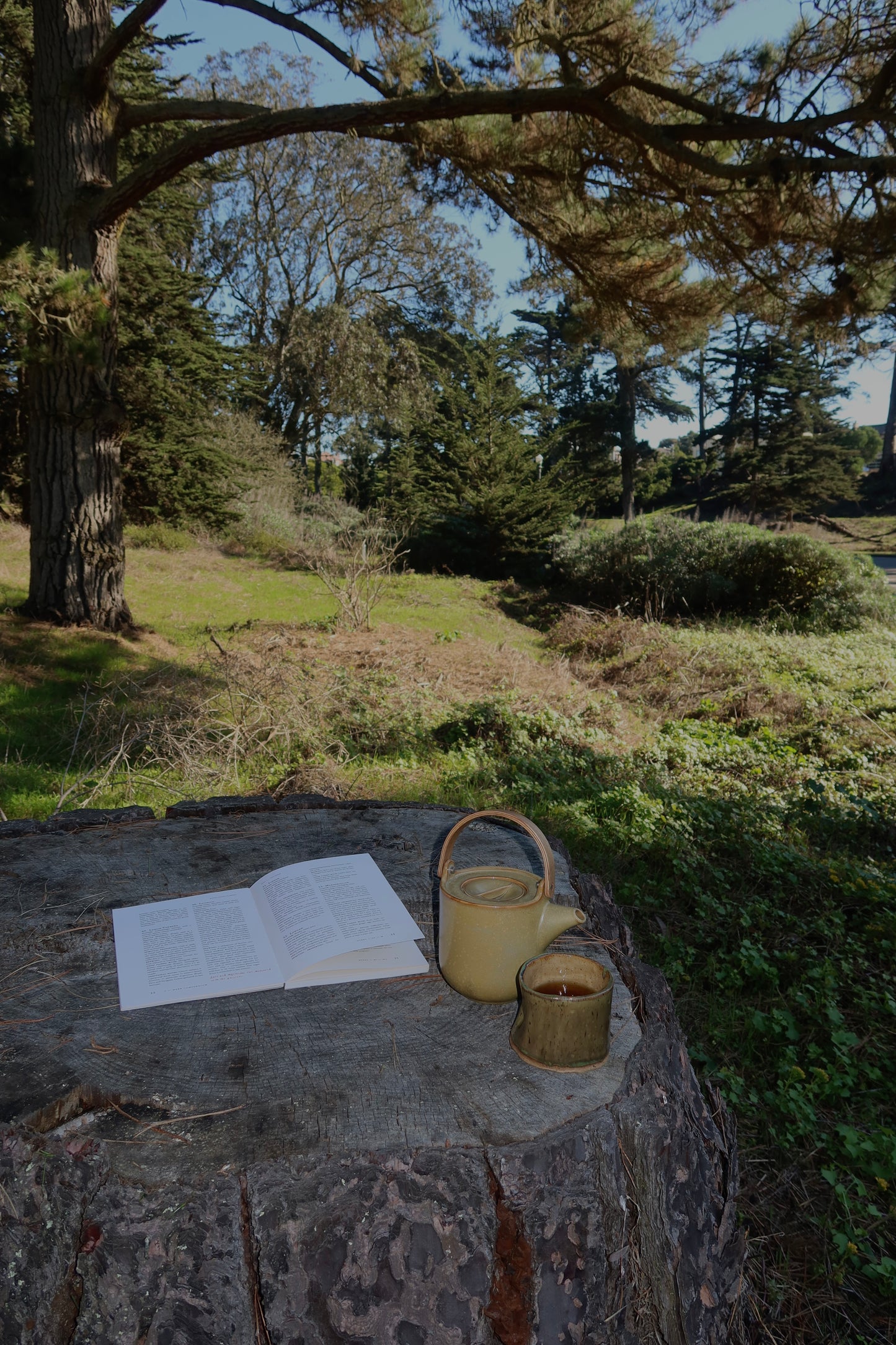 The Moon Cycle Blend - Herbal Tea
