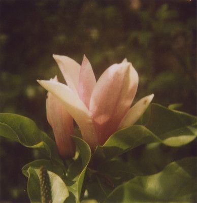 3/16 Spring Equinox Ceremony - The Battery