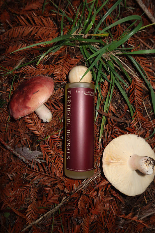 Sacred Stillness Body Oil