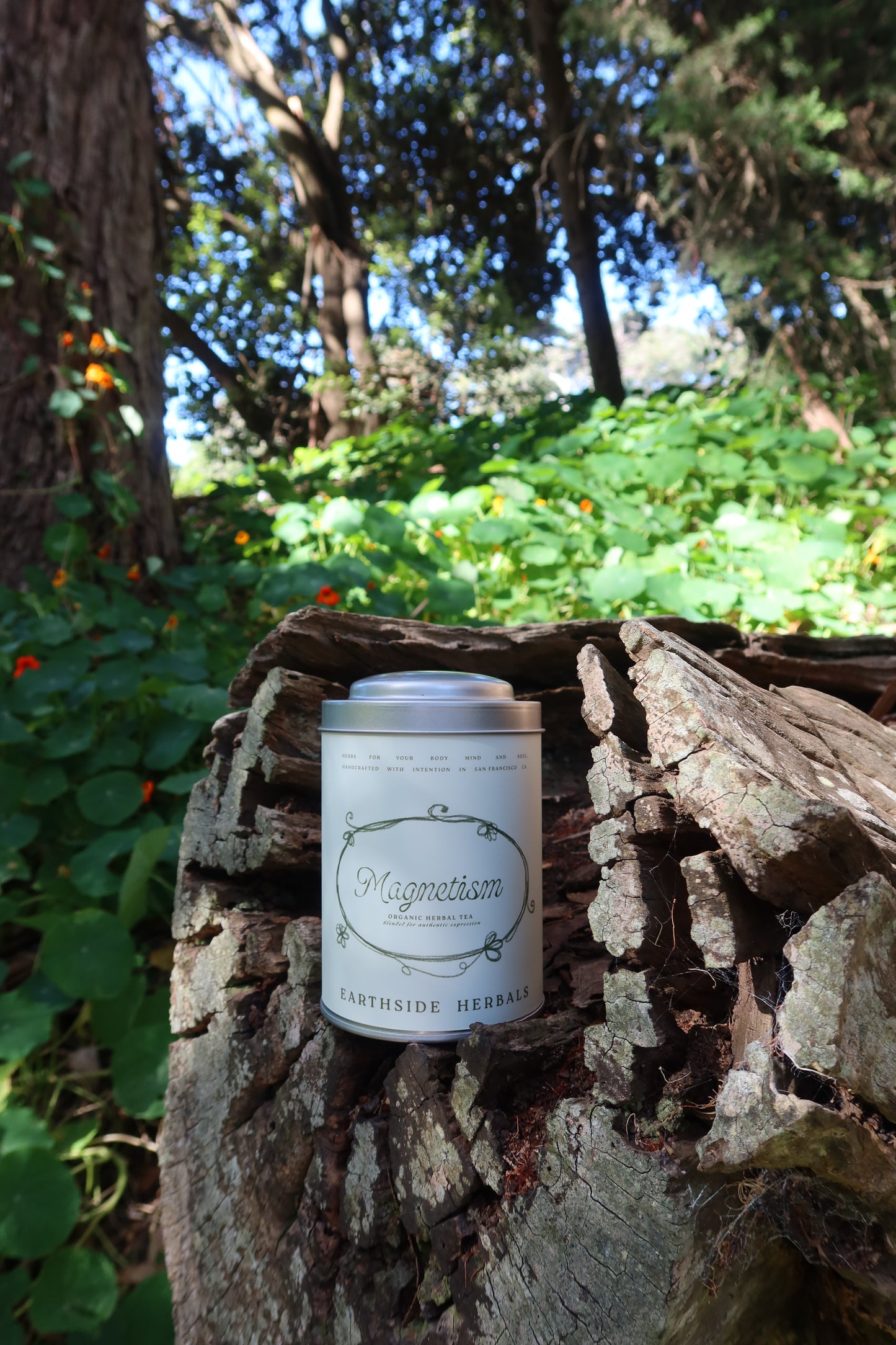 Magnetism - Herbal Tea